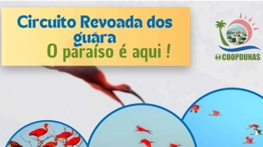 Circuito Revoada dos Guarás